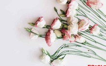 Công thức có được hạnh phúc dài lâu: Hóa ra "gia vị" của niềm vui đến từ những điều rất đơn giản mà nhiều người vô tình bỏ quên