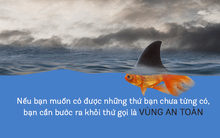 Bi kịch của vùng an toàn: Nơi an tâm nhất lại là nơi giết chết bạn nhanh nhất, càng ở lâu càng giậm chân tại chỗ, muôn đời không thấy ánh hào quang của thành công!