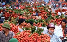 Chính sách thắt chặt nhập khẩu từ Việt Nam của Trung Quốc và lý do có thể ẩn chứa đằng sau