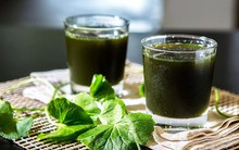 Giải nhiệt ngày nắng nóng cùng những gợi ý thực phẩm chữa bệnh từ chuyên gia Đông y