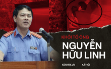 NÓNG: Chính thức khởi tố ông Nguyễn Hữu Linh vụ sàm sỡ bé gái trong thang máy