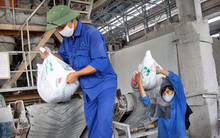 Thị trường phân bón bị siết chặt, Hóa chất Lâm Thao (LAS) đặt mục tiêu LNTT năm 2019 tăng nhẹ 4% so với cùng kỳ, ước đạt 162 tỷ đồng