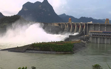 Không chịu khoản lỗ tỷ giá, Thủy điện Đa Nhim - Hàm Thuận - Đa Mi (DNH) báo lãi trước thuế 386 tỷ đồng trong quý 1/2019