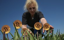 Bitcoin là hội chứng hoa tulip nở rộ rồi tàn lụi nhanh chóng hay giống như internet đời đầu cần thời gian để khai thác tiềm năng?