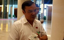 ĐBQH: Không ai tin hành động của cựu viện phó là 'nựng'