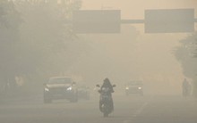 9 vật dụng bạn cần vứt bỏ ngay để bảo vệ sức khỏe của bạn