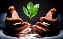 Chính phủ và quyết tâm tạo lực đẩy cho startup công nghệ Việt Nam và các doanh nghiệp nghiên cứu khoa học phát triển