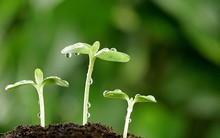 Không cần tốn quá nhiều thời gian và tiền bạc, thực hiện 9 bước đơn giản dưới đây để làm mới bản thân mỗi ngày