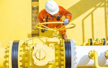 Thị trường ngày 16/5: Thép và cao su tăng trở lại, dầu thô tiếp tục đi lên, ngô cao nhất 6 tuần