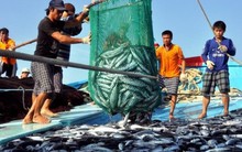 Vi phạm về khai thác thủy sản phạt đến 1 tỷ đồng