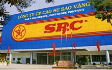 Cao Su Sao Vàng: Dự án đất vàng vẫn trên giấy, một cổ đông nắm 4,6% phản ánh có dấu hiệu bất thường trong bầu thành viên HĐQT