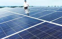 Đầu tư điện mặt trời: Tấm pin bẩn có thể gây tổn thất đến 50% năng lượng