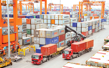 Xử lý hàng hóa đội lốt xuất xứ Việt Nam thế nào?