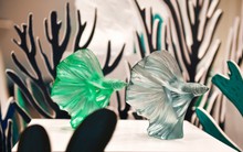 Giới thượng lưu Việt Nam choáng ngợp và thích thú trước những sản phẩm pha lê mỹ lệ của Lalique