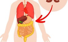 10 cách ăn uống bất kỳ ai cũng nên áp dụng sau 40 tuổi: Đừng bỏ lỡ thông tin quý giá