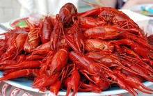 Tăng cường tuần tra, kiểm soát ngăn chặn vận chuyển tôm càng đỏ trái phép vào Việt Nam