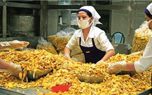 Doanh nghiệp làm thế nào để bán được hàng sang Trung Quốc?