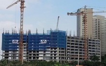 Xuân Mai Corp trở lại "chứng trường" sau 5 năm vắng bóng với giá tham chiếu 15.000 đồng/cp