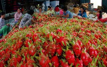 Đằng sau chính sách "siết chặt" nhập khẩu từ Việt Nam của Trung Quốc là gì?