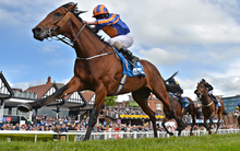 Agriseco đặt kế hoạch lãi trước thuế 90 tỷ đồng trong năm 2019