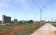 'Dự án Alibaba Newtimes City Thắng Hải' là dự án không có thật