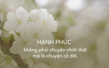 Giáo sư tại Harvard chỉ ra 4 thứ khiến bạn hạnh phúc và mãn nguyện hơn cả trúng số độc đắc!