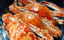 Doanh nghiệp Mỹ tìm mua ghẹ Việt Nam với giá cao để né thuế