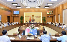 UBTVQH xem xét, phê chuẩn bổ nhiệm nhân sự; thành lập đơn vị hành chính mới