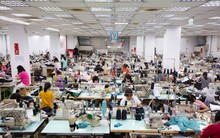 EVFTA tác động ra sao đến các ngành xuất khẩu chủ đạo?