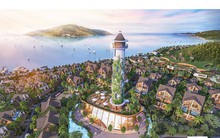 Ông chủ kín tiếng của Danh Khôi và những thương vụ âm thầm thâu tóm dự án trên thị trường địa ốc