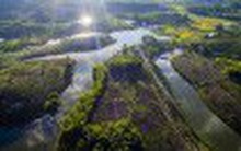 Đề nghị thu hồi dự án 1.500 tỷ đồng của Cienco 4