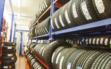 Casumina: 6 tháng lãi hơn 10 tỷ đồng hoàn thành 13% kế hoạch cả năm 2019