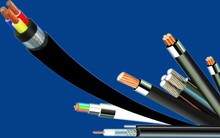 Cadivi (CAV) báo lãi trước thuể nửa đầu năm tăng mạnh 47%, hoàn thành 63% kế hoạch năm