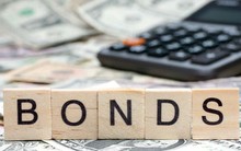 Lợi nhuận VPS giảm 33% trong nửa đầu năm 2019, ghi nhận khoản lỗ 300 tỷ đồng từ hoạt động bán trái phiếu chưa niêm yết