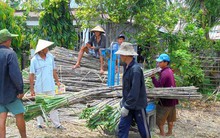 Ngành mía đường "tụt dốc"