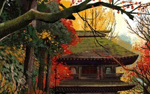 Không phải tiền tài hay vật chất, đây mới là thứ chúng ta thiếu thật sự: Được cử đi đòi nhưng lại xóa hết nợ, kẻ làm công mua “nghĩa” về cho ông chủ