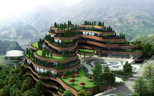 CTX Holdings (CTX): 6 tháng lãi 107 tỷ đồng cao gấp 36 lần cùng kỳ