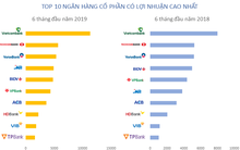 Lộ diện top 10 lợi nhuận ngân hàng 6 tháng đầu năm 2019