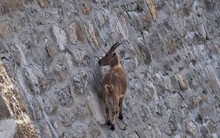 CTCK nói gì sau "cú lừa" nghìn điểm của VnIndex?