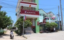 Khởi tố vụ án tham ô tài sản tại phòng giao dịch Agribank Ninh Hòa