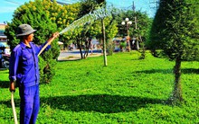 Lawaco (LAW): Quý 2 lãi hơn 4 tỷ đồng giảm 66% so với cùng kỳ