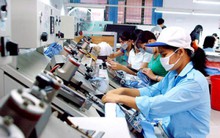 Thấy gì từ những con số ấn tượng về doanh nghiệp Việt "go global"?