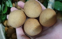 Nhãn bắp cải, hàng Việt cực hiếm, giá cực đắt có tiền khó mua