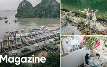 Có một Quảng Ninh đầy mới lạ, trẻ trung: Đi thì dễ mà đẹp thì quên lối về!