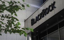 Tình cảnh 'sống còn' của các nhà quản lý quỹ