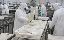 Xuất khẩu mực, bạch tuộc sang Tây Ban Nha tăng hơn 3% trong nửa đầu năm 2019