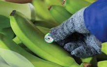 Cổ phiếu HAG thủng đáy 1 năm sau thông tin kết quả kinh doanh