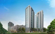 Xây dựng số 5 (SC5) chuẩn bị chi trả cổ tức bằng tiền mặt tỷ lệ 20%