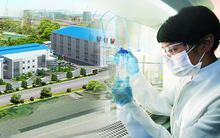 Navetco (VET) chuẩn bị chi trả cổ tức bằng tiền tỷ lệ 40%