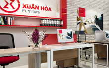 Nội thất Xuân Hòa và sự phụ thuộc lợi nhuận vào liên doanh với Toyota